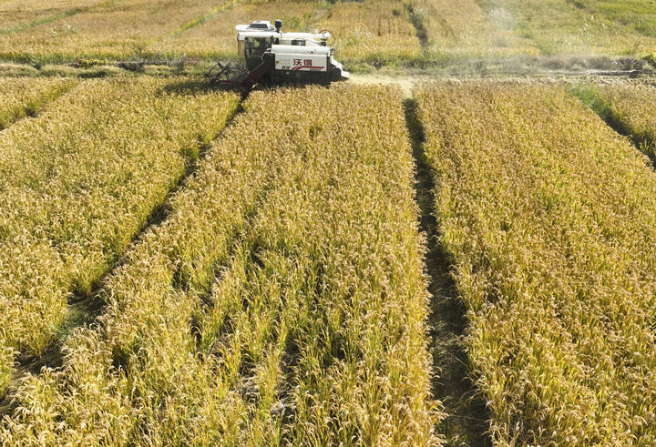 高产稻，农业领域的璀璨明珠分享会暨嘉宾观众见面会