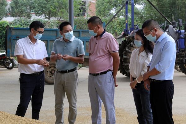 刘稻村,历史长河中的璀璨明珠