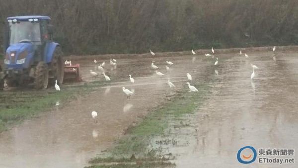 一期稻作，亲爱的听众朋友们的心声分享