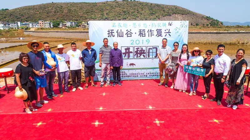 二期稻作，稻田新篇章，火热收获季启动！